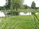 www.pinus.pl - Ogrody, kamień brukarstwo