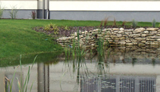 Galeria - Staw przy firmie