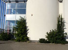 www.pinus.pl - Ogrody, kamień brukarstwo
