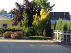 www.pinus.pl - Ogrody, kamień brukarstwo