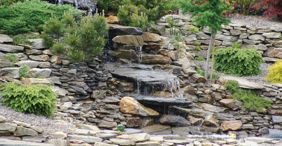 Pinus Garden - stone, garden, paving