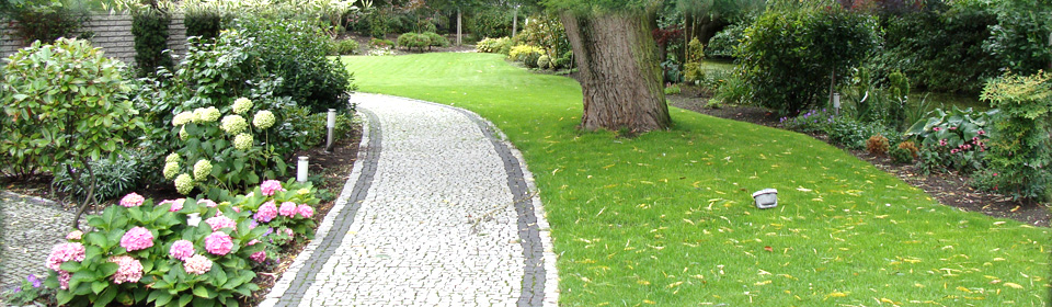 www.pinus.pl - Ogrody