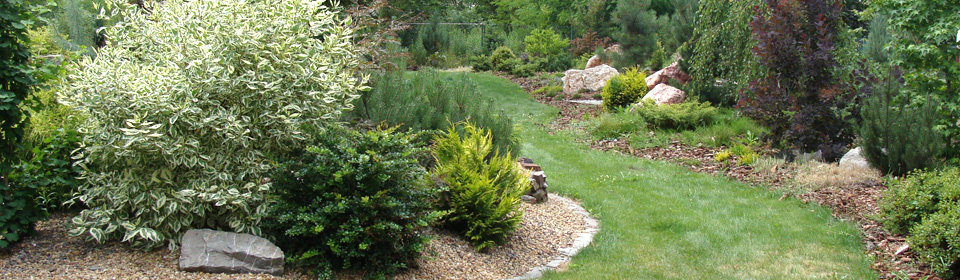 www.pinus.pl - Ogrody