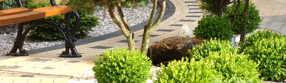 www.pinus.pl - Galeria