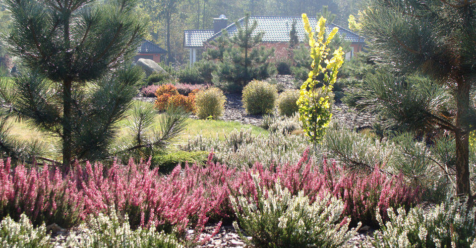 Pinus Ogrody - kamień, ogrody, brukarstwo