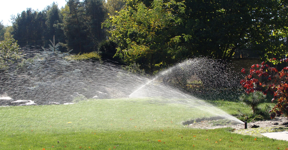 Pinus Ogrody - kamień, ogrody, brukarstwo