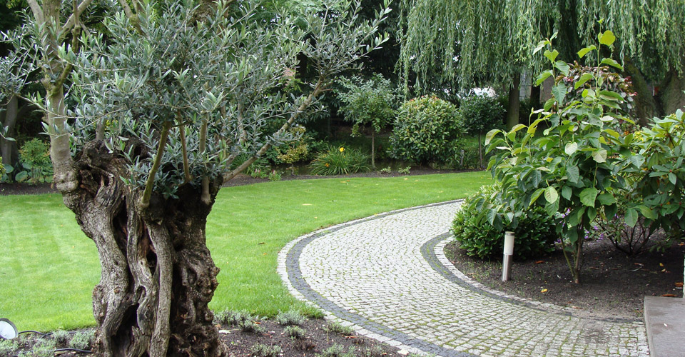 Pinus Ogrody - kamień, ogrody, brukarstwo