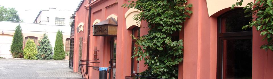 www.pinus.pl - Galeria