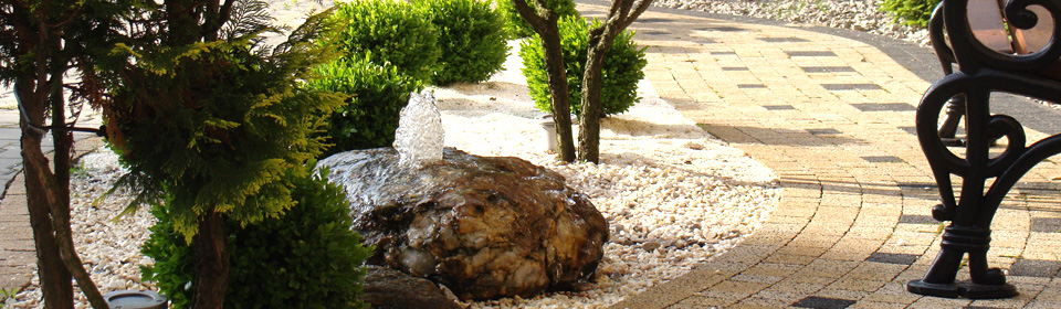 www.pinus.pl - Brukarstwo